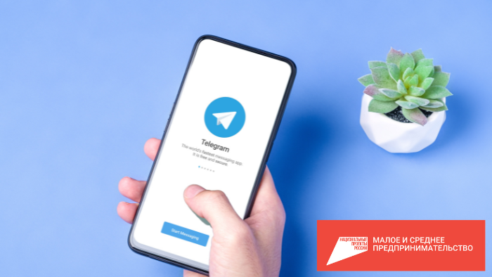 Предпринимателям Прикамья бесплатно создадут интернет - магазин в Telegram